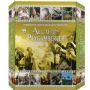 ALLAH'IN (C.C) Peygamberleri - 14 VCD